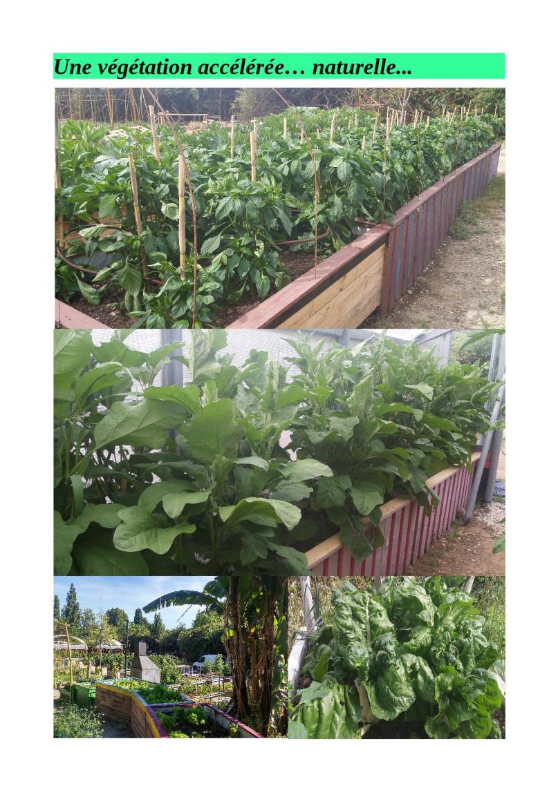 promenade jardin juillet 20164