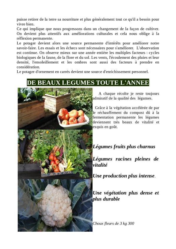 potager-pour-un-developpement-durable2