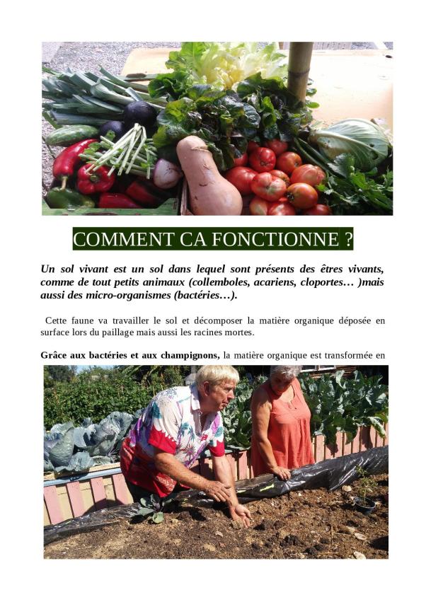 potager-pour-un-developpement-durable3