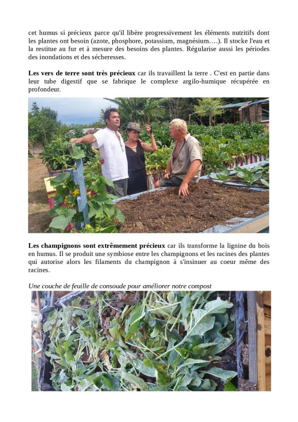 potager-pour-un-developpement-durable4