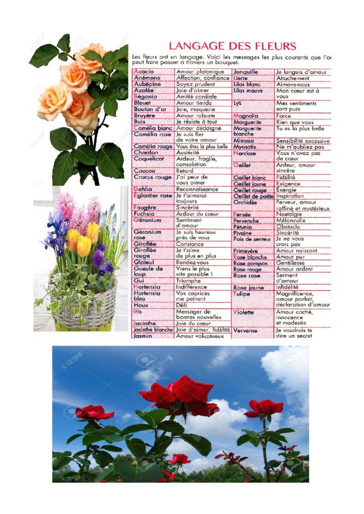 langage-des-fleurs